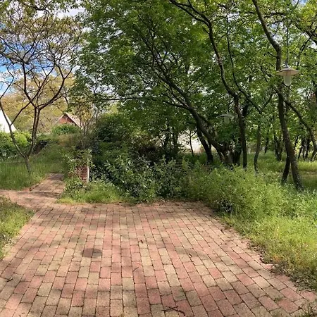 Romantic House At Balaton *