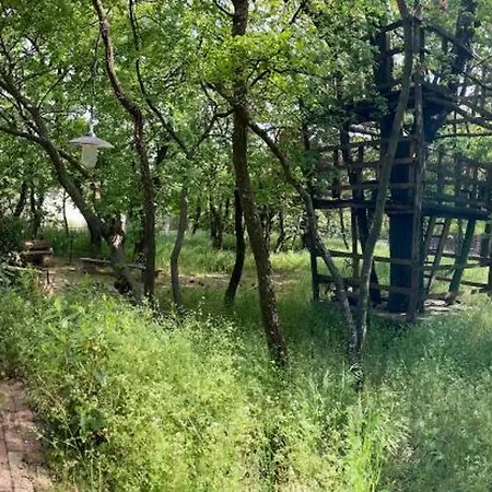 Romantic House At Balaton Villa Balatonszepezd